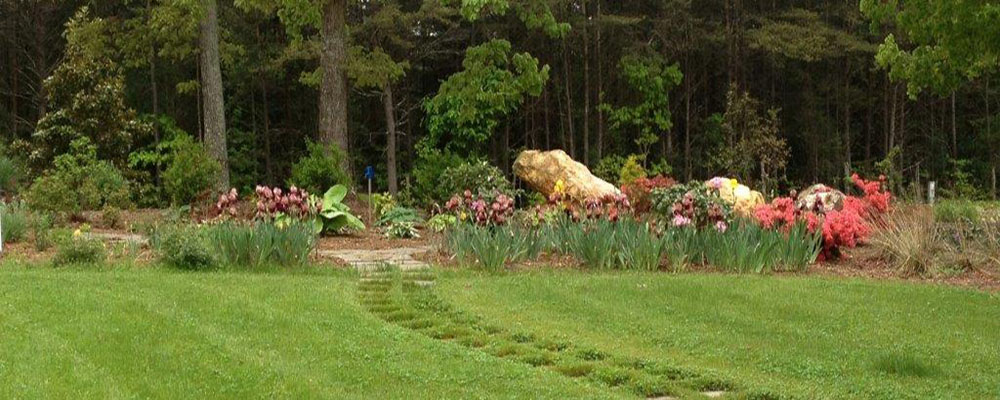 European Garden